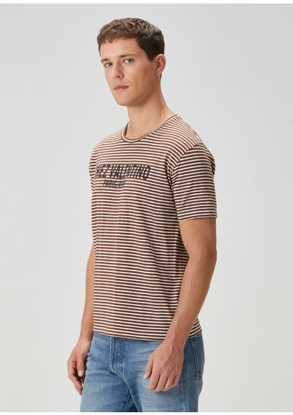 Bej Kahverengi Çizgi Desenli T-Shirt modelleri