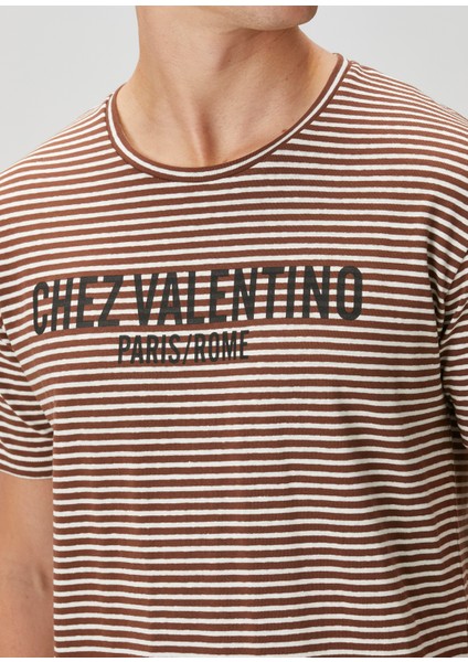 Bej Kahverengi Çizgi Desenli T-Shirt indirimleri