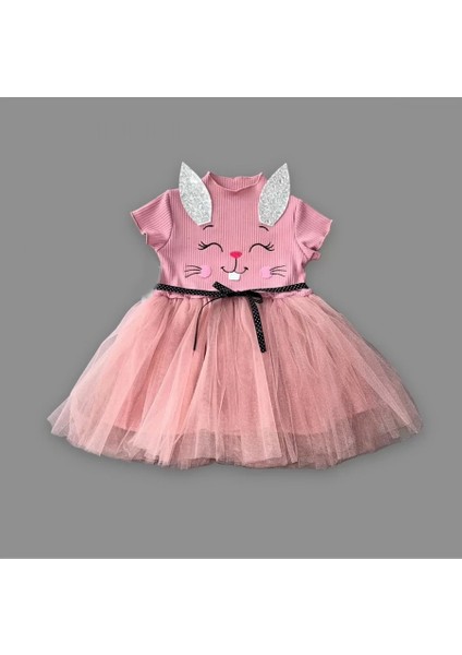 1-2-3 Yaş Payetli Kulak Tavşan Baskılı Kız Bebek Elbisesi Gül Kurusu