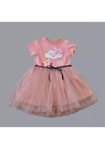 1-2-3 Yaş Tül Tokalı Bulut Civciv ve Yıldız Nakışlı Kız Bebek Elbisesi Gül Kurusu fiyatları