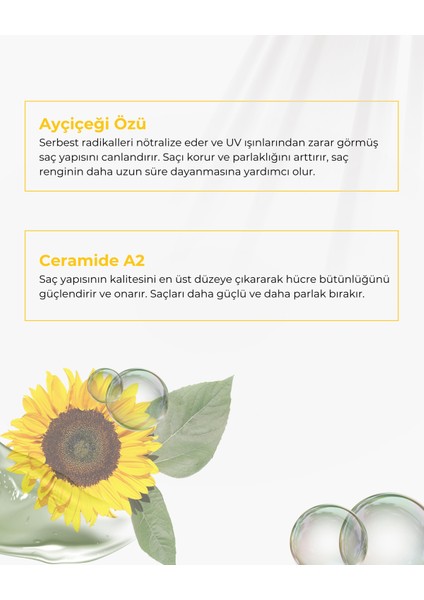 Color ( Renk Koruyucu) Şampuan 500 ml