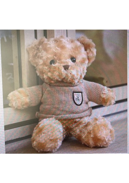 Kazak Teddy Ayı Ayı Doğum Günü Bebek Peluş Oyuncak Zemin Itme Halkası Sevgililer Günü Hediyesi (Yurt Dışından)