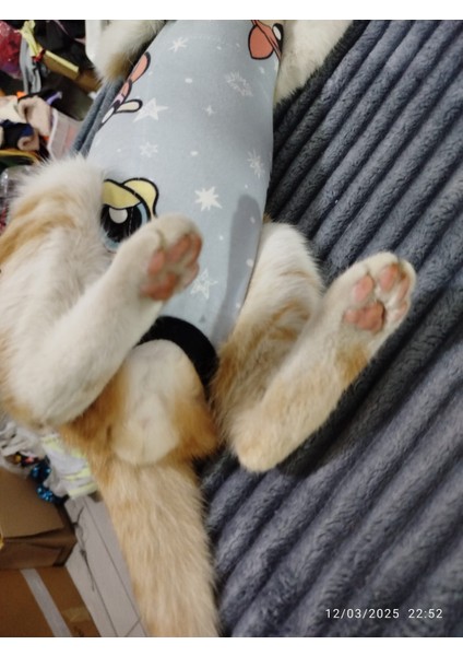Kedi Köpek Ameliyat Sonrası Yara Koruma Tulumu