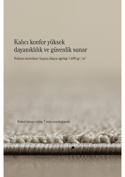 Modern Desenli Cool Halı Sisal Halı Bukleli Halı Kahve Halı Düz Renk Halı Salon Halısı Mutfak Halısı fırsatları