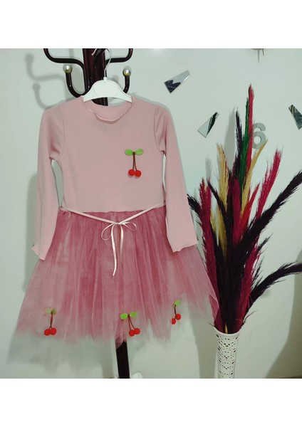 5-6-7 Yaş Kiraz Desenli Kurdela Kuşaklı Astarlı Uzun Kollu Kız Çocuk Tütü Elbise Gül Kurusu fırsatları