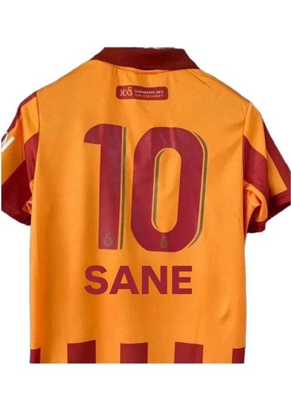 .g'.â.l.a.t.â.s.a.r.â.y 24/25 5yıldızlı 100, Yıl Sane 10 Forması