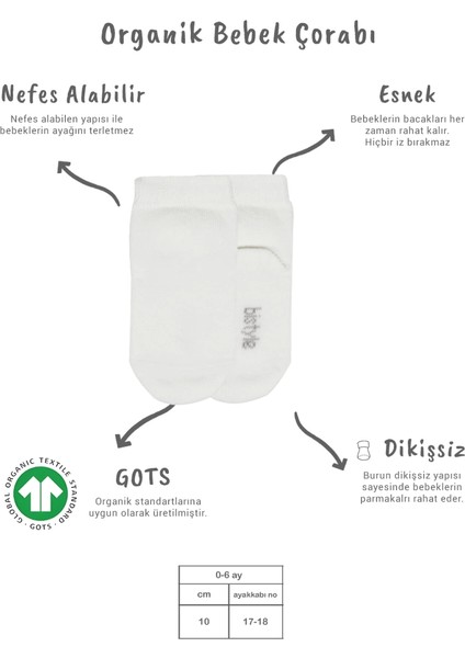 Bistyle 5'li Penye Soket Kutulu Basic Çorap 10131 Ekru