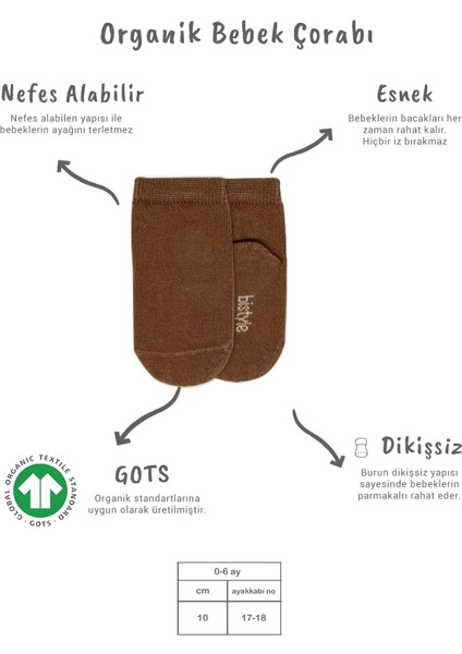 Bistyle 5'li Penye Soket Kutulu Basic Çorap 10131 Bej