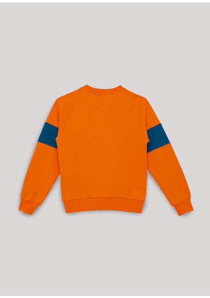 Oranj Baskılı Erkek Çocuk Sweatshirt fiyatları