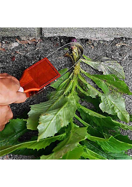 Bahçe Aleti El Halkası Sarı Ayıklama Bıçağı Ayıklama Bıçağı Seti Bahçe Sebze Çiftlik Aletleri Gevşek Toprak (Yurt Dışından) fırsatları