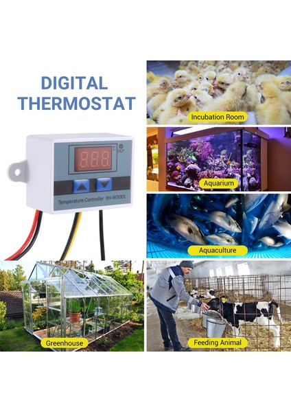 12V Dijital LED Sıcaklık Kontrol Cihazı Termostat Kontrol Anahtarı (Yurt Dışından)