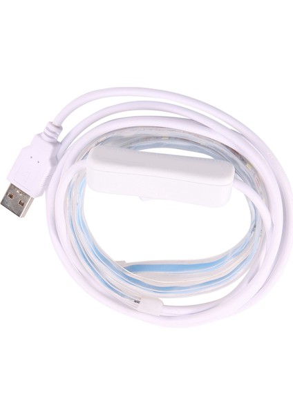 2x Saksafon USB Sızıntı Tespit Işığı LED Test Lambası Nefesli Çalgı Onarım Aracı Flüt Parçaları (Yurt Dışından)