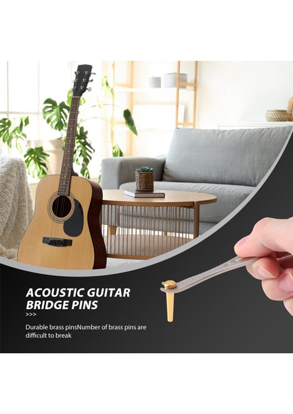 Gitar Köprü Pimleri 6 Adet Akustik Için Pim Çektiricili Pirinç Uç Pim (Yurt Dışından)