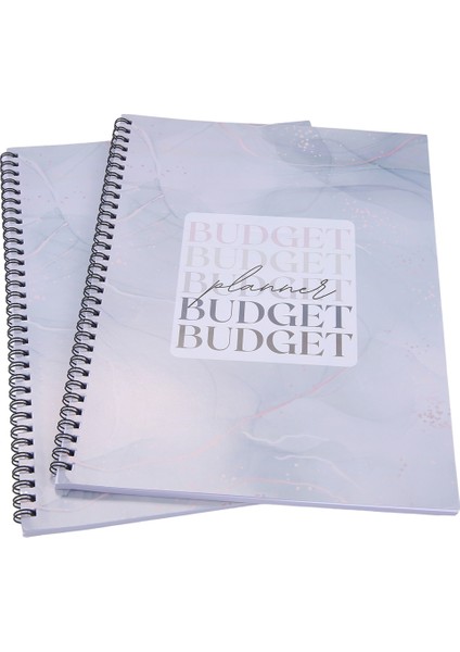 12 Aylık Tarihsiz Bütçe Planlayıcısı, Aylık Kitap Fatura Düzenleyicisi, Ev Finans Parası (Kalemsiz) (Yurt Dışından)