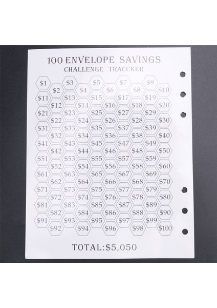 100 Zarf Mücadelesi Klasörü 5.050 Tasarruf Etmenin Kolay ve Eğlenceli Yolu - Nakit Zarflarla Bütçe (Yurt Dışından)