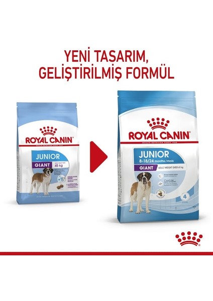 Giant Junior Dev Irk Yavru Köpek Maması 15 Kg