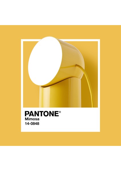 x Pantone Orbe Sarı LED Masa Lambası