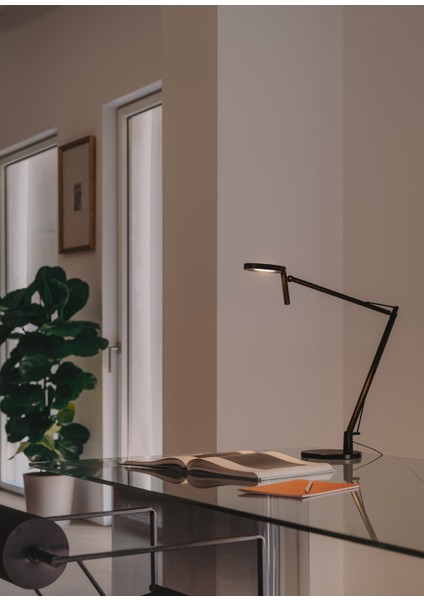 Maca Siyah LED Okuma Lambası