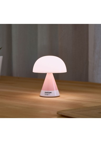 x Pantone Mina Pembe Orta Boy LED Masa Lambası