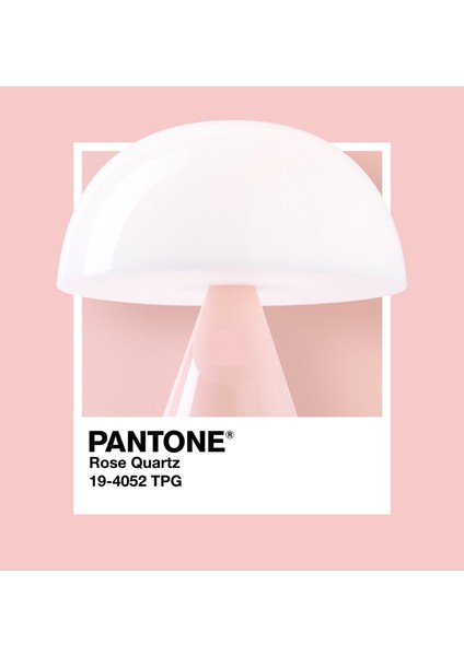 x Pantone Mina Pembe Orta Boy LED Masa Lambası