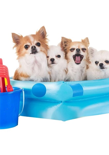 20 Adet Yüzme Havuzu Tamir Tutkalı Çok Amaçlı Tamir Yaması Yüzme Havuzu Tamir Takımı Yüzme Havuzu Aksesuarları (Yurt Dışından) fiyatları