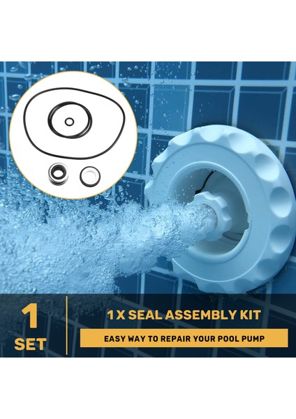 Havuz Pompası Conta Conta O-Ring Takımı PS-200 Xp2, XP2E, Aquaflo, Flo-Master Havuz Ekipmanları Için (Yurt Dışından)