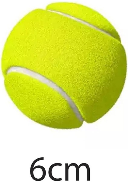 Saklama Çantalı 12'li Paket Tenis Topları - Kaliteli Kalın Duvarlı Tenis Topu - Tenis ve Kriket Için Mükemmel (Yurt Dışından) fırsatları