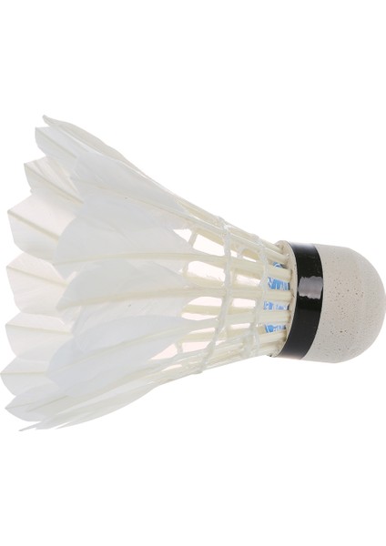 12 Beyaz Tüy Raketle Birdies Badminton Eğitimi (Yurt Dışından) fırsatları