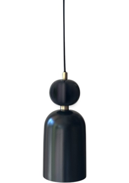 Paloma Pendant Siyah Metal LED Avize