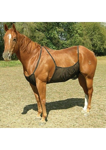 At Sinek Örtüsü Karın Koruyucu Yaz Sivrisinek Isırığı Karın Koruyucu Ağ Koruyucu Battaniye (Yurt Dışından) fırsatları