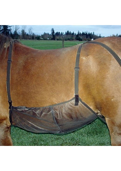 At Sinek Örtüsü Karın Koruyucu Yaz Sivrisinek Isırığı Karın Koruyucu Ağ Koruyucu Battaniye (Yurt Dışından) indirimleri