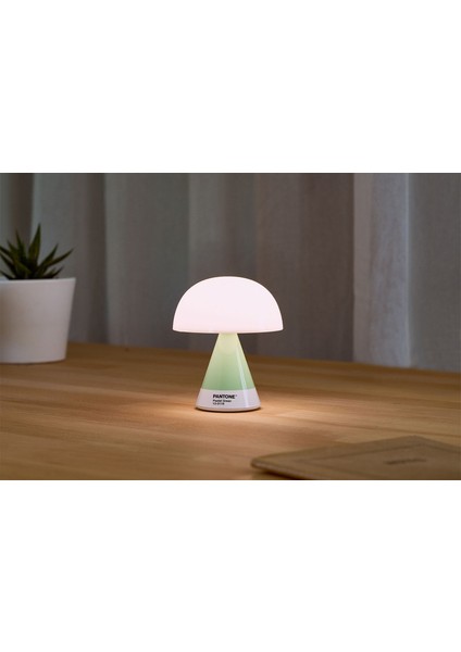 x Pantone Mina Mint Orta Boy LED Masa Lambası