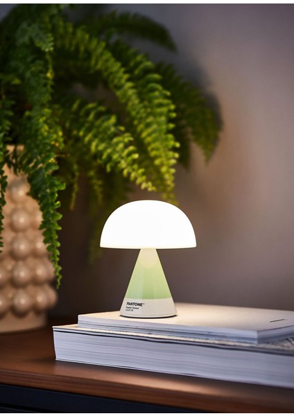 x Pantone Mina Mint Orta Boy LED Masa Lambası