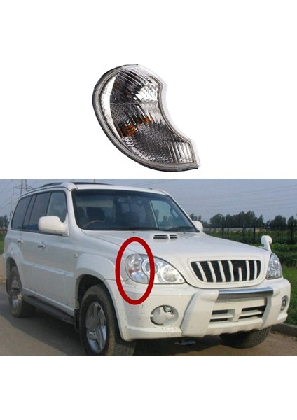 92302H1010 Köşe Lambası Kombinasyonu Ön Rh Hyundai Terracan 2001-2006 Için Viraj Lambası Geniş Işık Sağ (Yurt Dışından) indirimleri