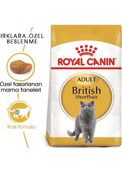 British Shorthair Adult Yetişkin Kedi Maması 10 Kg