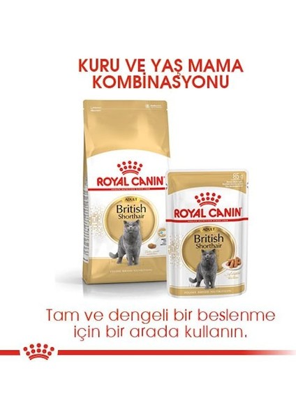 British Shorthair Adult Yetişkin Kedi Maması 10 Kg indirimleri