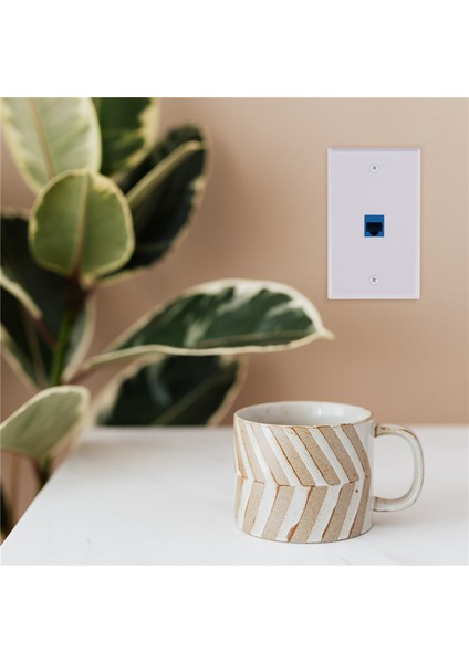 4x Cat6 Ethernet Duvar Plakası Çıkışı 1 Port RJ45 Ağ Dişi - Dişi Duvar Çoğaltıcı Jack Plakası Beyaz ve Mavi (Yurt Dışından)