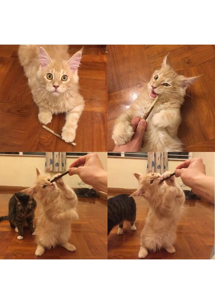 30 Adet Doğal Silvervine Matatabi Çiğneme Çubukları Diş Molar Çiğneme Oyuncakları Kedi Diş Temizleme Için (Yurt Dışından)