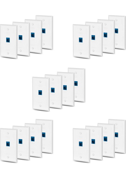 20X Cat6 Ethernet Duvar Plakası Çıkışı 1 Port RJ45 Ağ Dişi - Dişi Duvar Çoğaltıcı Jack Plakası Beyaz ve Mavi (Yurt Dışından)