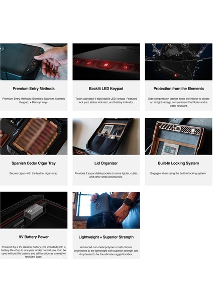 Lifepod 2.0 9's Siyah Seyahat Humidor Puro Kutusu