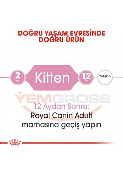 Kitten Yavru Kedi Maması 10 Kg