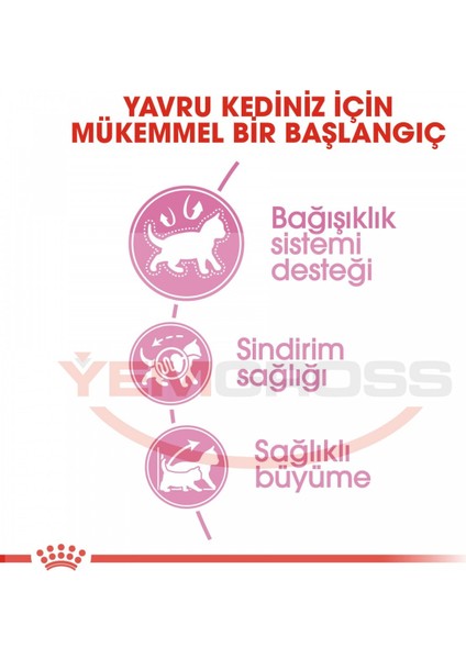 Kitten Yavru Kedi Maması 10 Kg