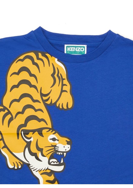 Mavi Erkek Çocuk T-Shirt modelleri