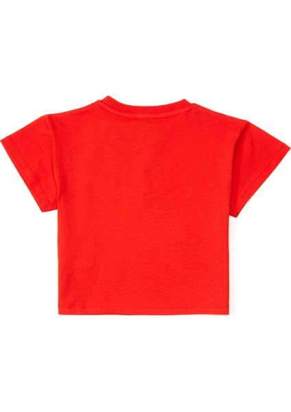 Kırmızı Erkek Çocuk T-Shirt fiyatları