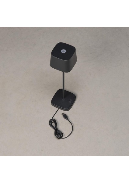 Wo Capri USB Alüminyum Siyah Masa Lambası