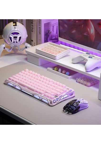 Mercury K1+M1 Pro Kablosuz Rgb Işıklı Mekanik Q Special Edition Pembe Gaming Klavye ve Optik Mouse Seti