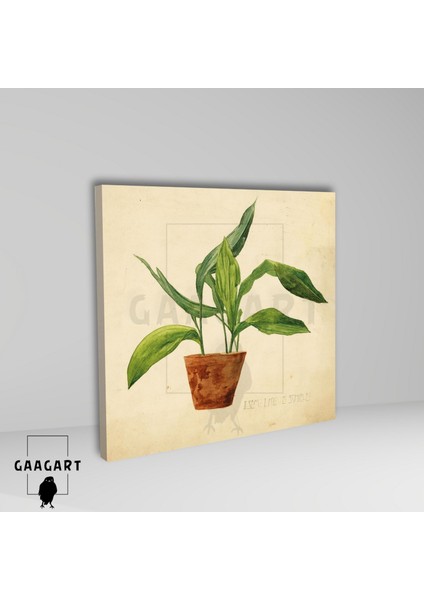 Kare Kanvas Tablo Ünlü Eserler Egon Schiele-Topfpflanze (Schülerarbeit) (1904) fiyatları