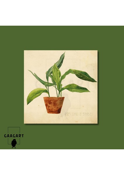 Kare Kanvas Tablo Ünlü Eserler Egon Schiele-Topfpflanze (Schülerarbeit) (1904) modelleri