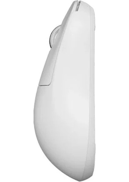X2H Beyaz Size 2 Medium Simetrik Kablosuz Gaming Mouse PX2H22