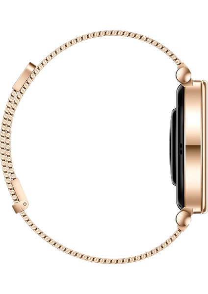 Watch Gt 4 41 mm Altın Rengi Akıllı Saat
